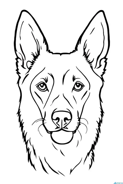 German Shepherd Dog Ears