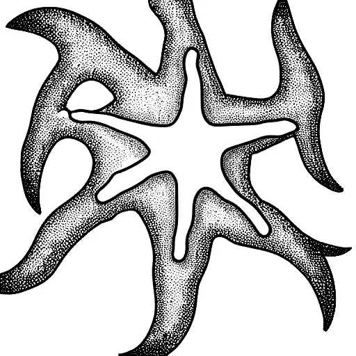 Vine Around Starfish