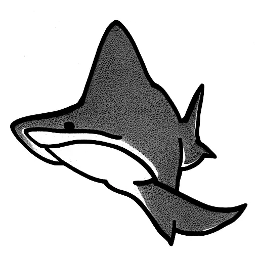 Sharks With Important Date