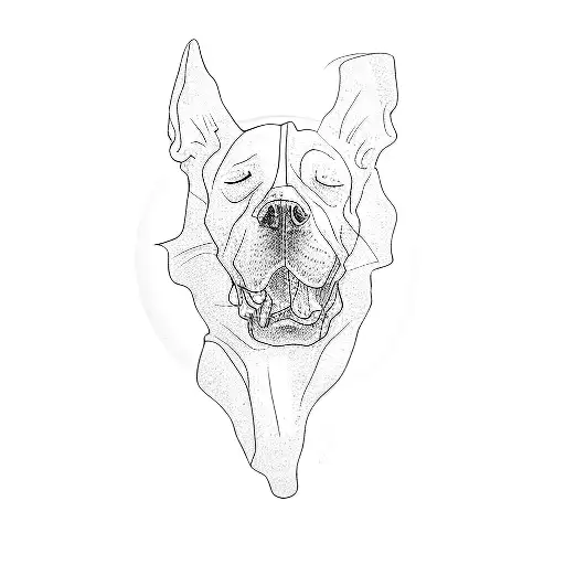 A Dog With A Skull On Its Head