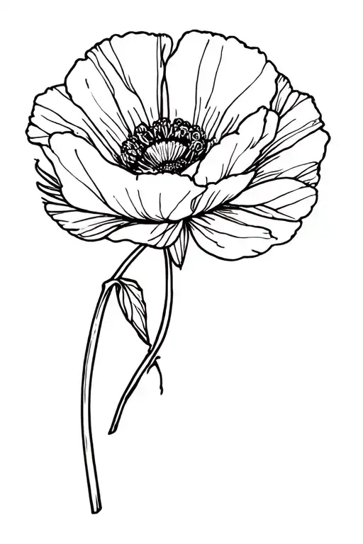 Poppy Flower Bouquet Fine Line Art