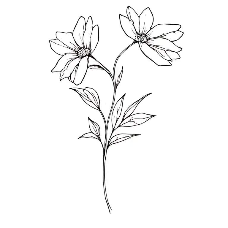 Nelke As A Flower Of Birth January