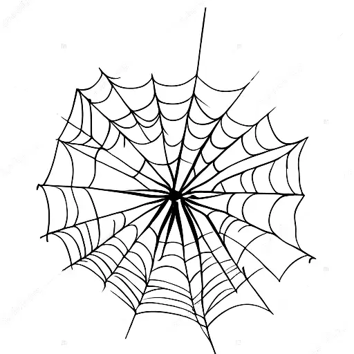 Simple Spider Web With A Small Sword Running Behind It