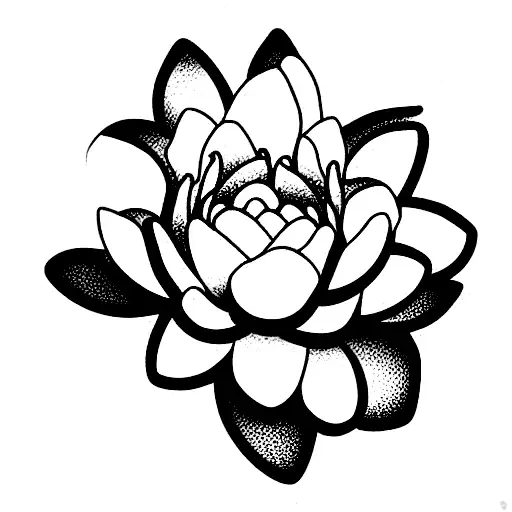 Marigold And Water Lily Flower Tangled