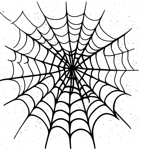 Spider Web Sleeve With Small Spiders