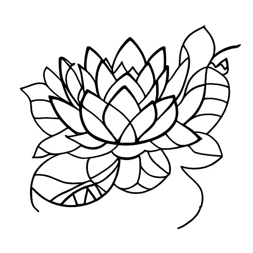 Lotus Flower