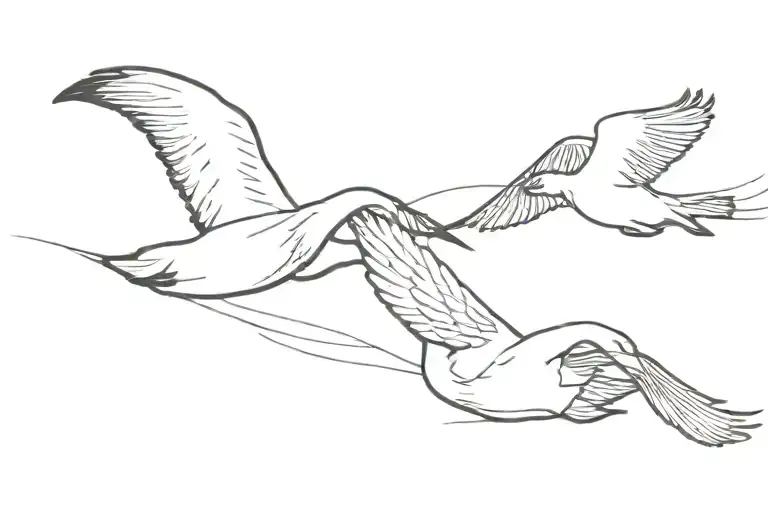 Swan And Crow Flying In Opposite Directions