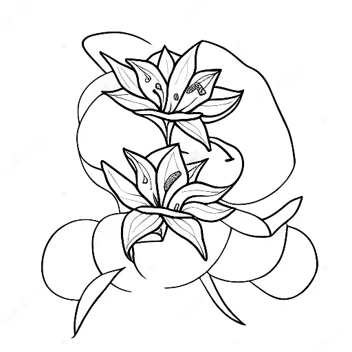 Simple Lining Of The Moon Behind Two White Lillies