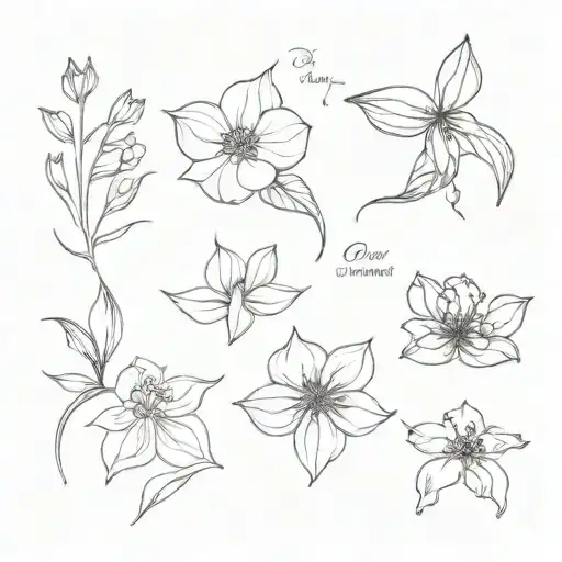 Birth Month Flower For December October July April