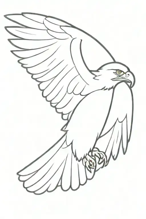 Top Down View Of A Bald Eagle With Wings Spread Wings