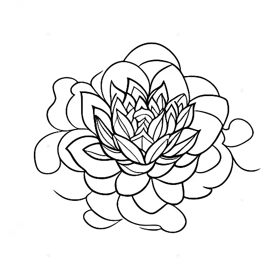 Flowing Water Lotus Flowers