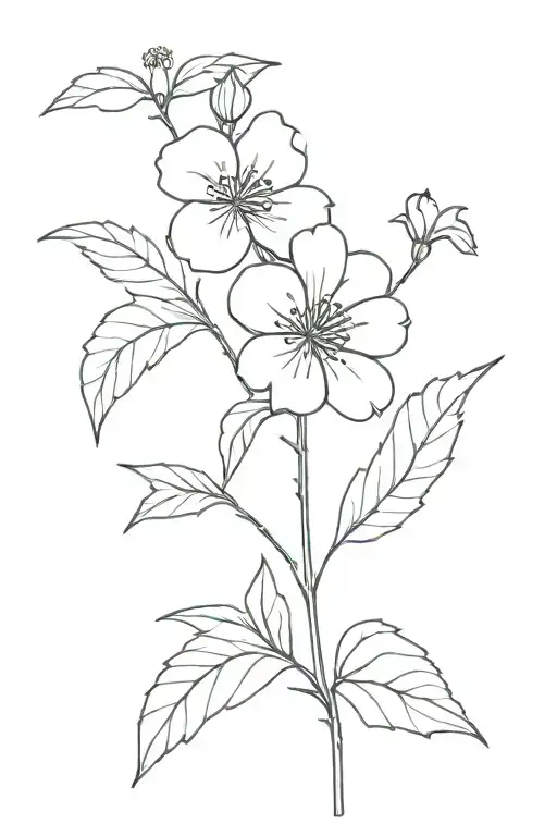 Single Flower From A Cranbery Plant With A Skinny Stem With A Couple Of Leaves