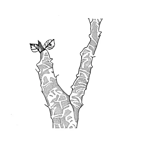 A Tree With Leaves And Branches