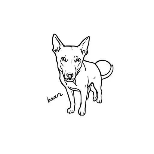 Black Dog That Died Named Bam Bam