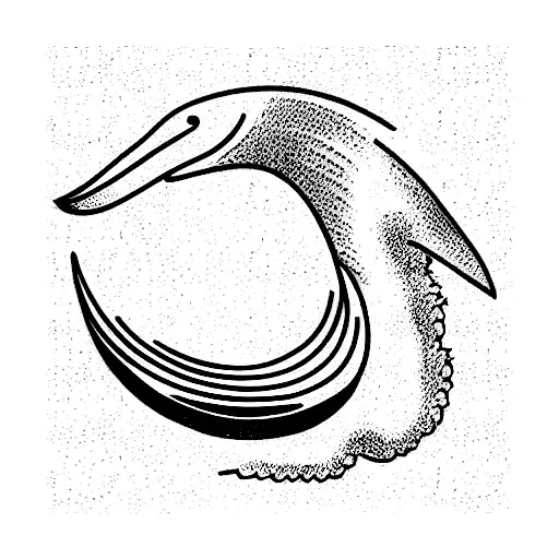 Ocean Wave Crest And Pelican Wing