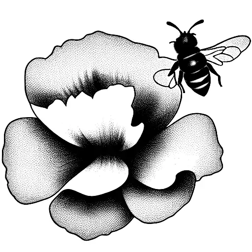 Poppy Flower With Honey Bee Flying Around It