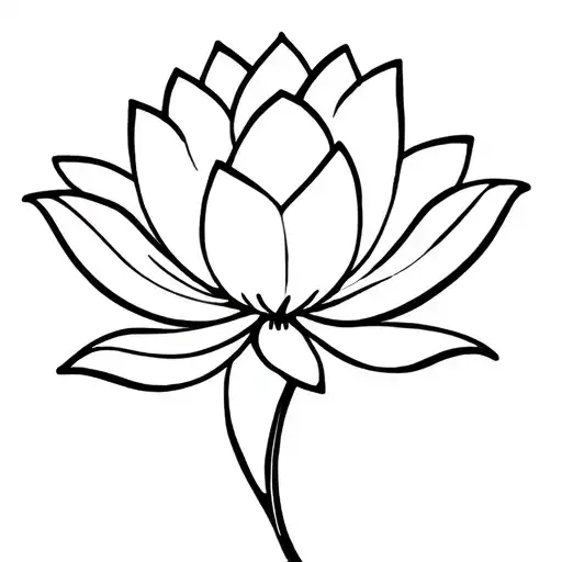 Lotus Flower
