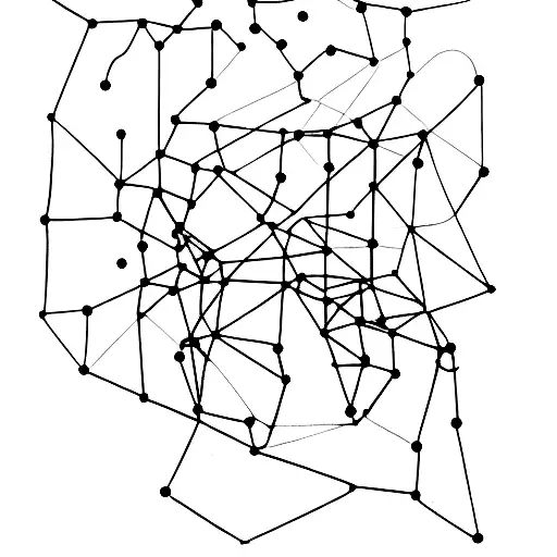 A Constellation Of A Water Dog In Minimalist Style