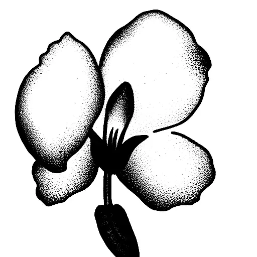 Aquarius Snowdrop Larkspur Orchid