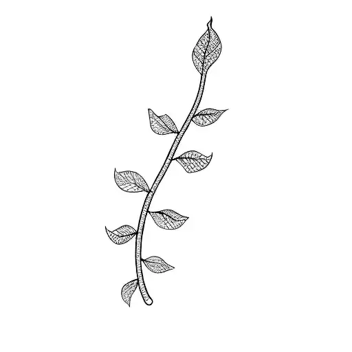 A Leaf