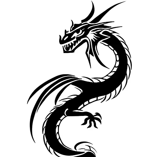 Dragon With Viking Simbols