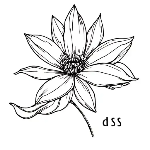 Birth Flower For The Month Of March With The Initial Of Ds