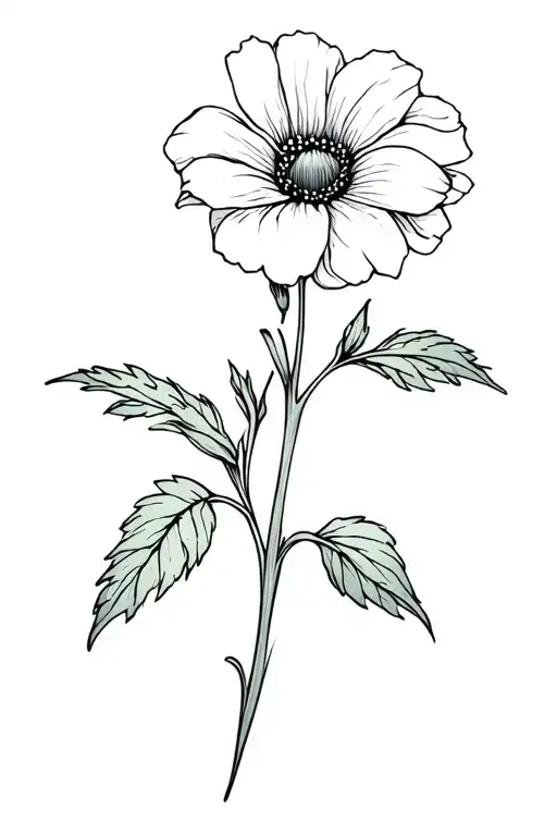 Daisy Sweet Pea Morning Glory Aster Flower With Stem