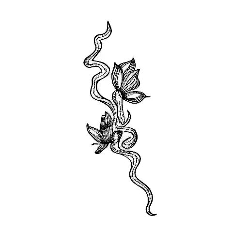 A Flower On A Black Background