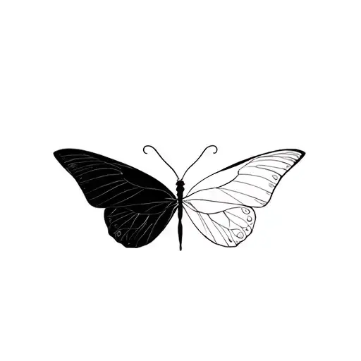 Gemini Butterfly Light And Dark Side
