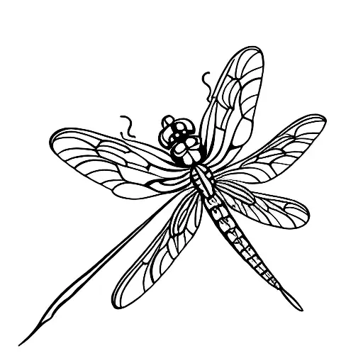 Dragonfly