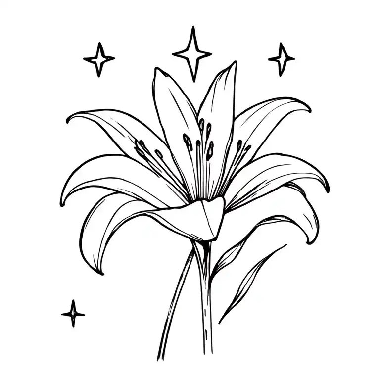 Lily With Stars Shining