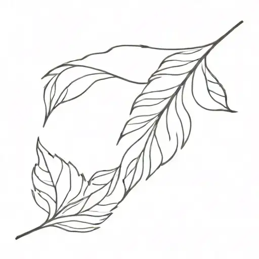 Elm Leaf