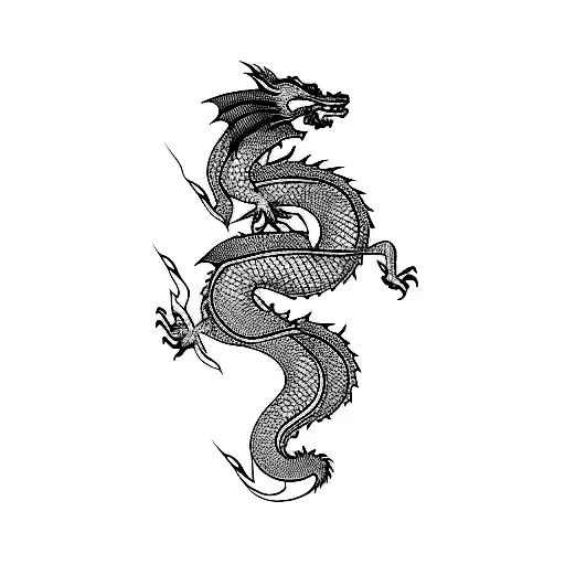 A Dragon