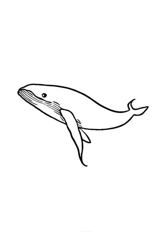 Whale Swimming