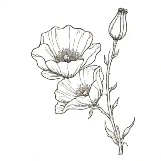 California Poppy Flower
