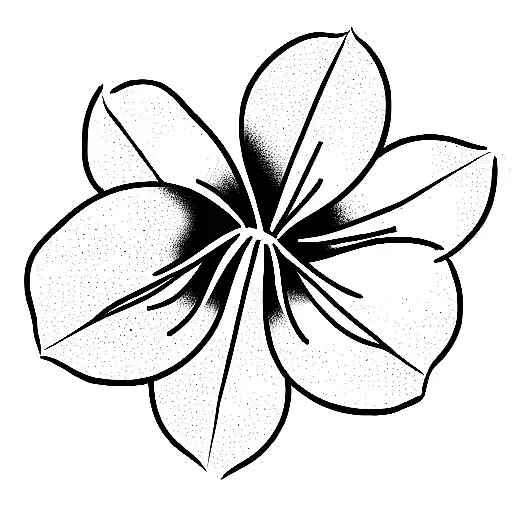 January And November Birth Flower