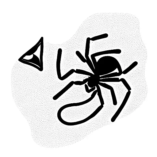 Spider And Snake Fighting