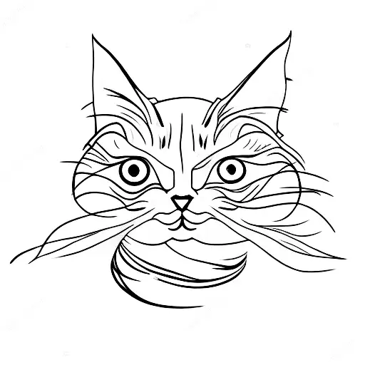 Oriental Short Hair Cat