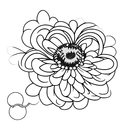 Crysanthemum And Daisy With Intertwining Stems