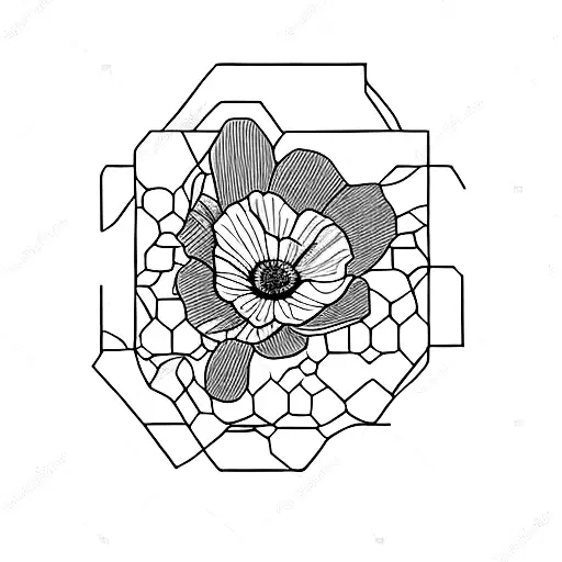 A Hexagon-shaped Coffee Bean With California Poppies Blooming Inside