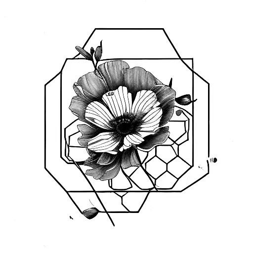 A Hexagon-shaped Coffee Bean With California Poppies Blooming Inside