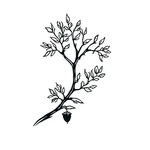 Oak Acorn Willow Tree