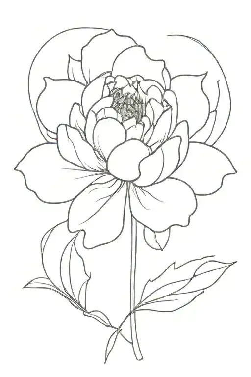 Peony