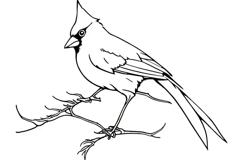 Cardinal Bird
