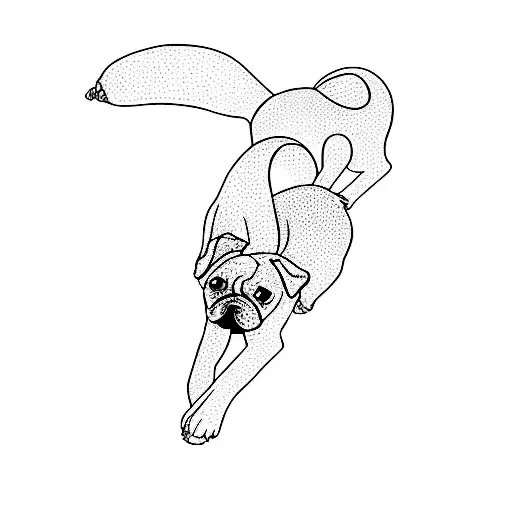 Three Dogs Laying On A Black Background