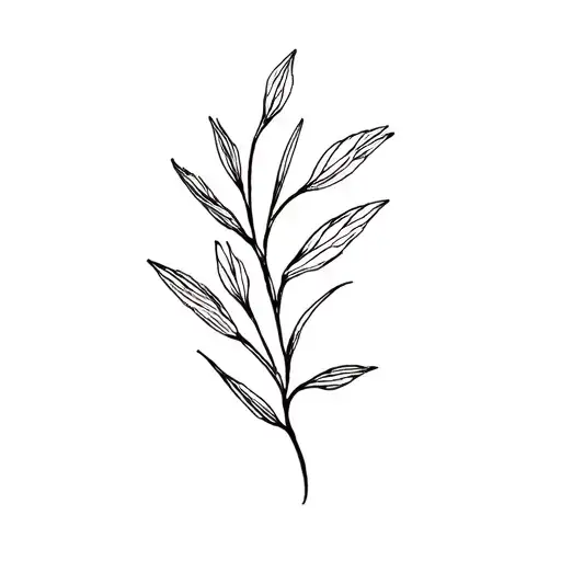 A Single Page From A Book