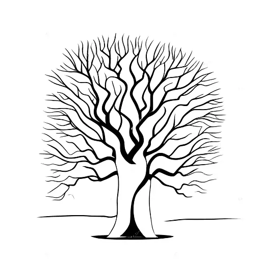 Ash Tree At The Bottom Turning Into Olive Tree At The Top