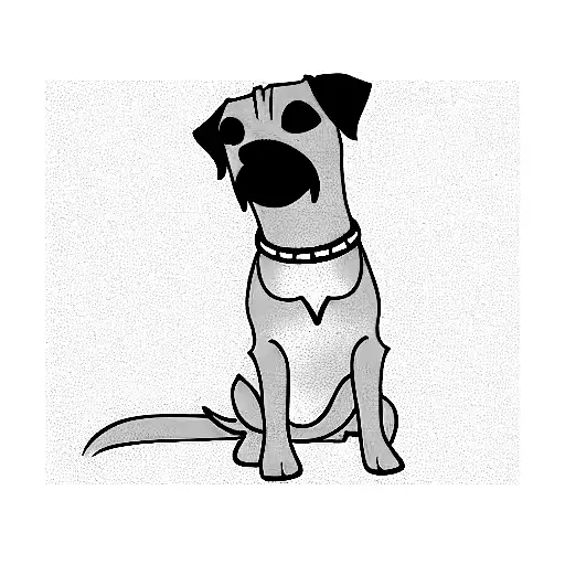 Border Terrier Dog Body Curly Tail