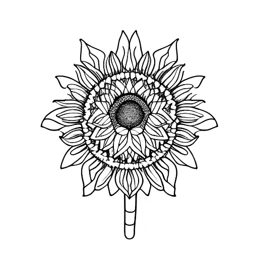 Sunflower With Dna Helix From Stems