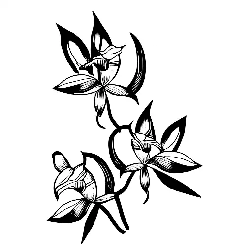 Bamboo Orchid With Leaves